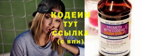 мдпв Бородино