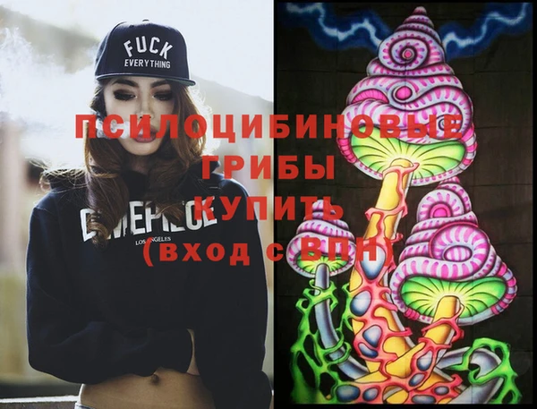 мдпв Бородино