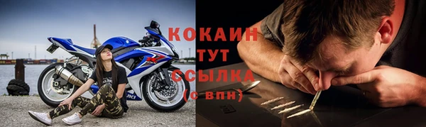 мдпв Бородино