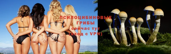 spice Бугульма