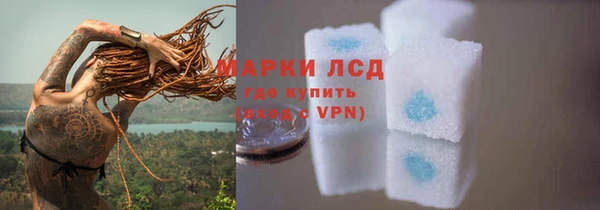 мдпв Бородино
