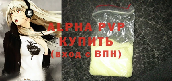 мдпв Бородино