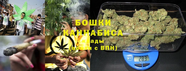 трава Бронницы
