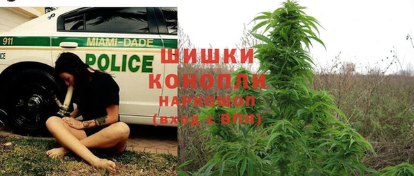 мдпв Бородино