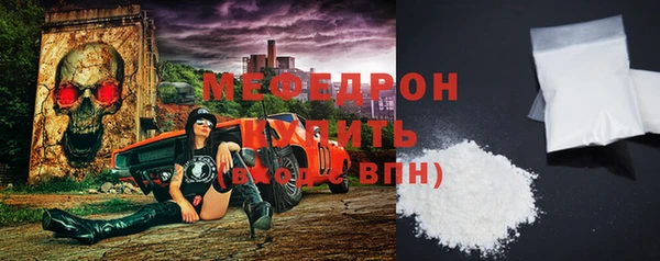 мдпв Бородино