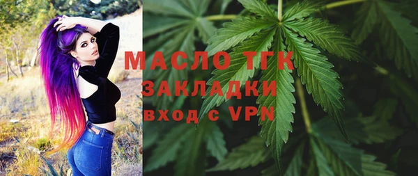 мдпв Бородино