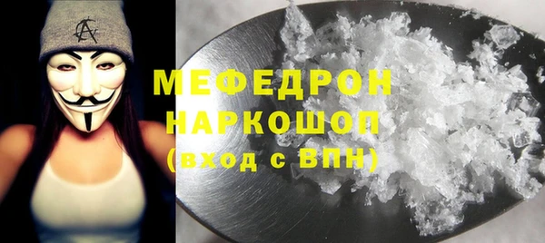 мдпв Бородино