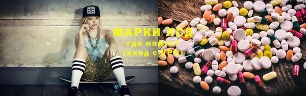 мдпв Бородино