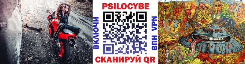 Купить где  Малгобек  Галлюциногенные грибы мицелий 