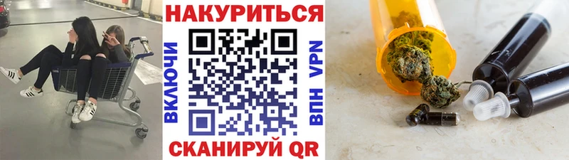 Канабис план  Купить закладки  Малгобек 